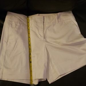 New York & Company Shorts